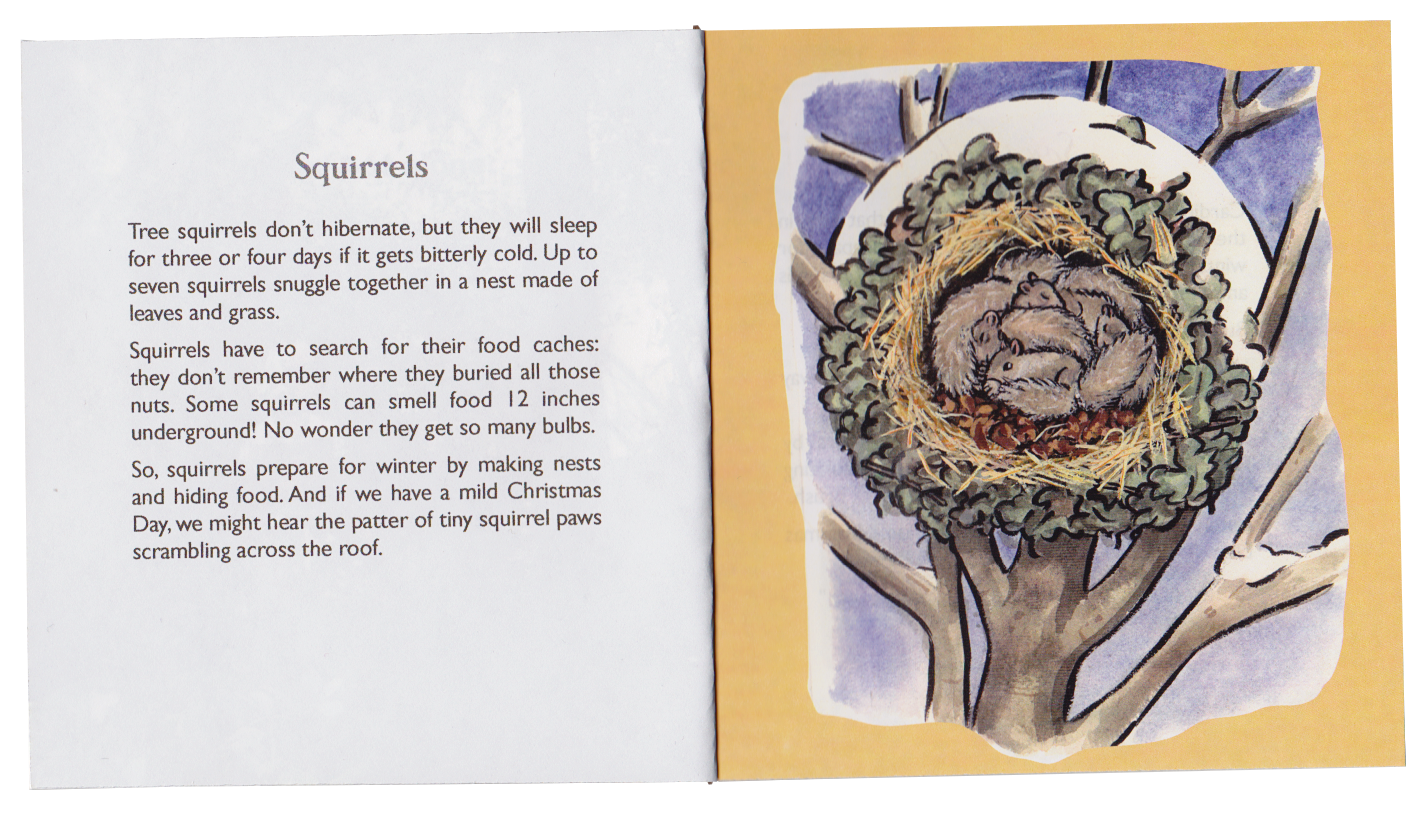 "Squirrels" with an illustration of a family of squirrels huddling together in a winter nest of leaves. Each verso page has a story about the animals.