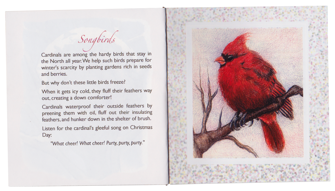"Songbirds" with an illustration of a cardinal all fluffed up.