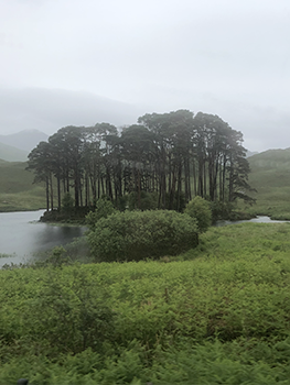 Photo of Scottish scenery from the bus