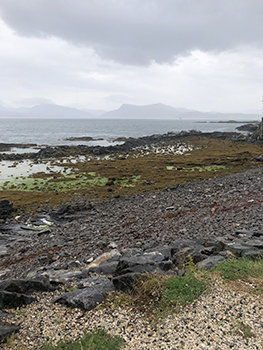 Rocky shore