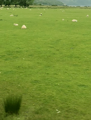 Photo of Scottish scenery from the bus