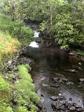 Photo of Scottish scenery from the bus