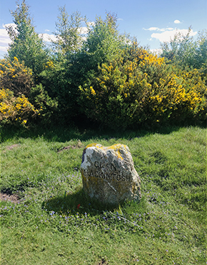 Photo of memorial stone with yellow flowers