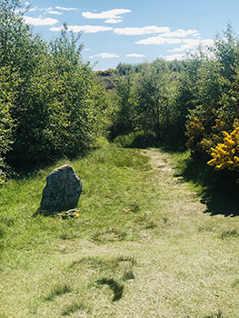 Memorial stone in field