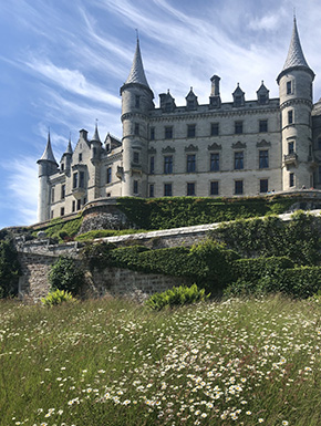 Caste/mansion with daisies in foreground