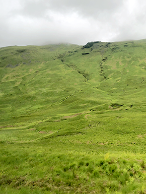 Grassy rolling land 