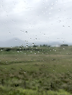 Raindrops on bus window