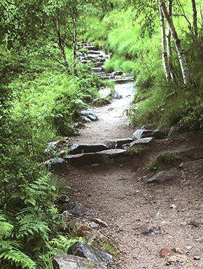 Path with wet gravel and some stepping stones