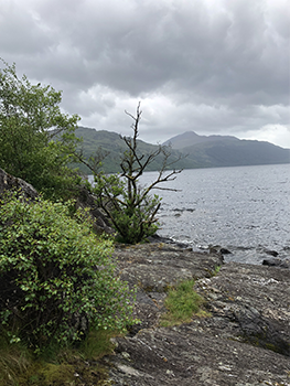 View of loch