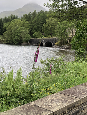 View of edge of loch with walls and flowers