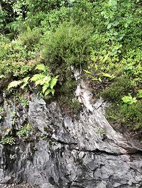 Close up view of loch wall 