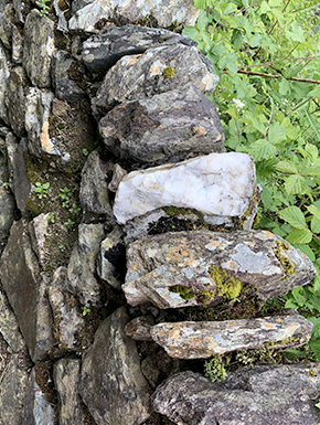 Close up view of loch wall 