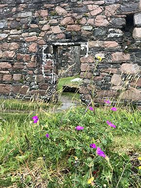 Ruin of nunnery with flowers