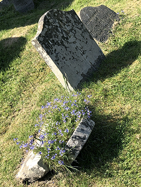 Tilted grave stones with flowers