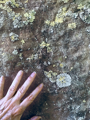 My hand touching stone with lichen