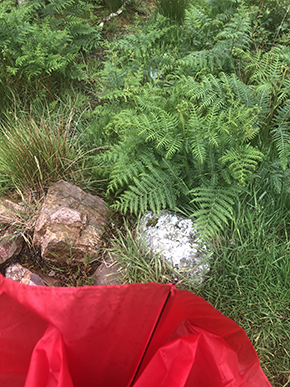 Red umbrella fallen onto ground with rocks and ferns