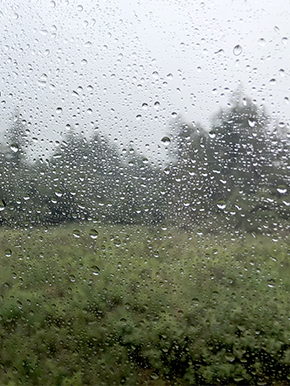 Raindrops on window