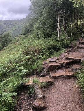 Path leading up hill with wet stones