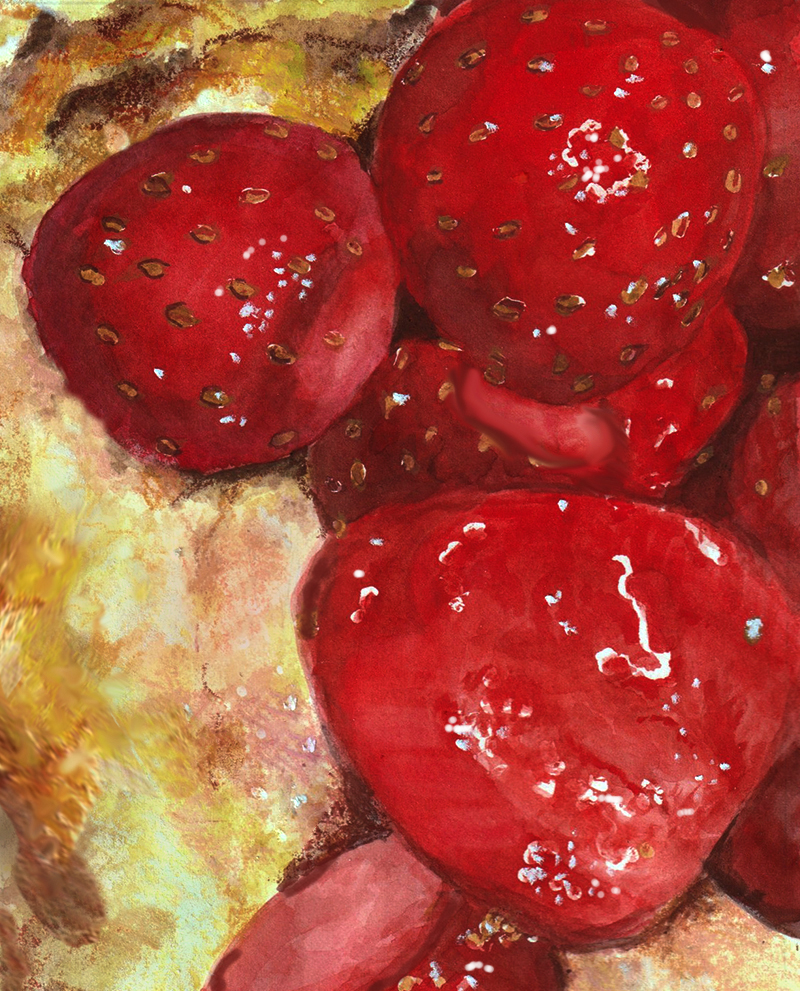 strawberry shortcake painting