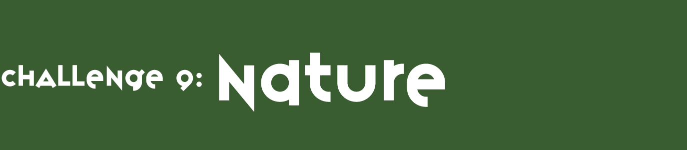 Challenge 9: Nature