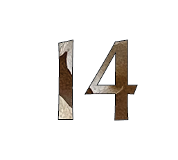 14