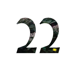 22