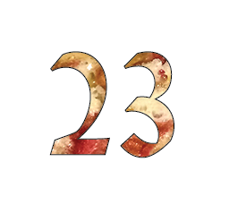 23