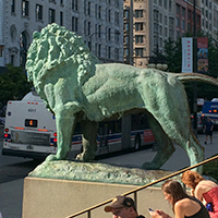 lion at Art Institute