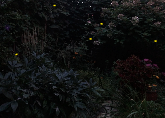 Evening courtyard with fireflies