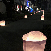 luminaria