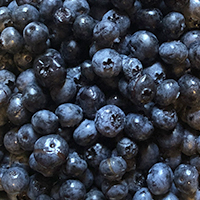 blueberries