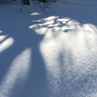 snow with blue shadows