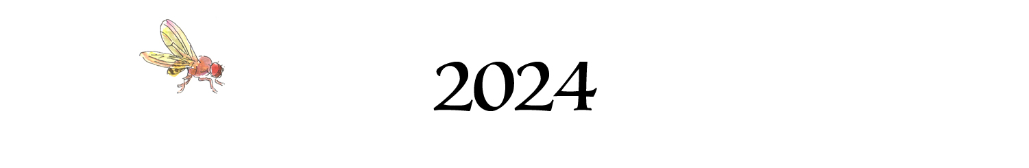 2024