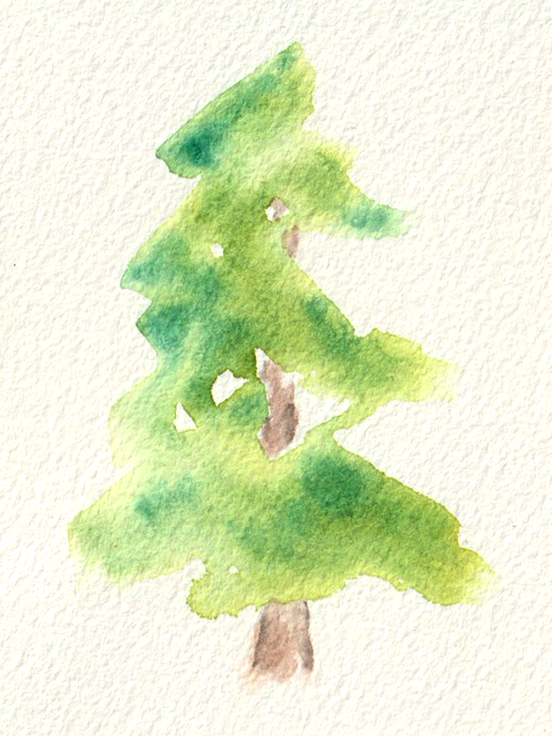 pine tree