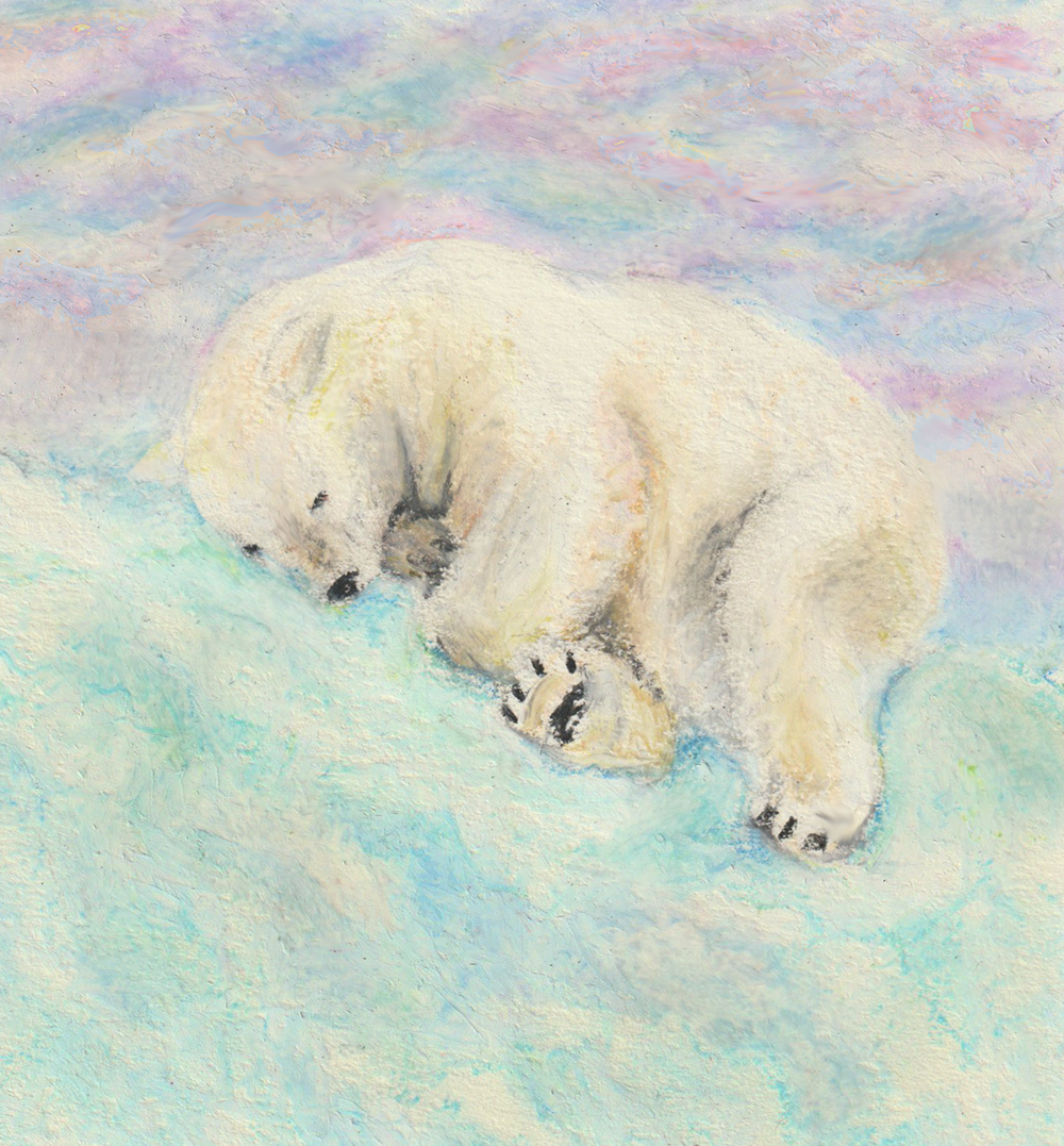 Pastel of polar bear sleeping on snow